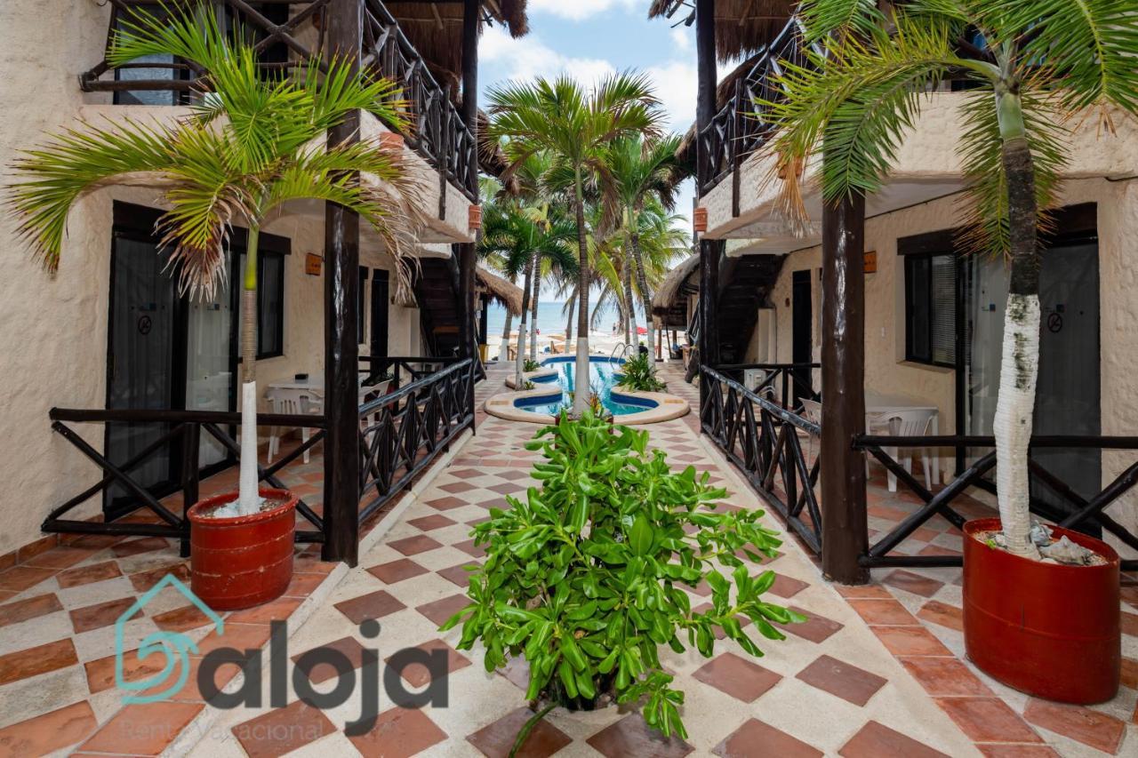 Magnifico Refugio Junto Al Mar Playa del Carmen